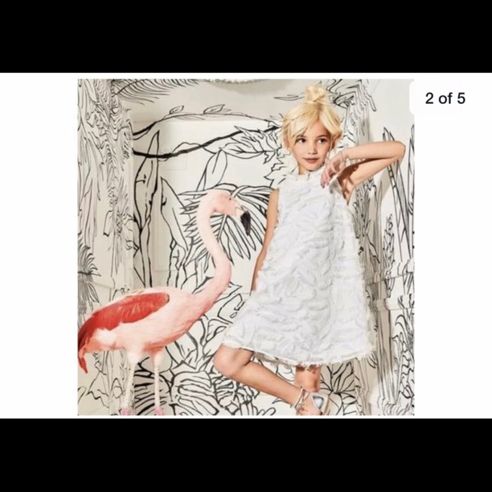 White Dress/Fringe Feather